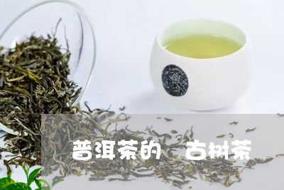 普洱茶的 古树茶/2023041152703